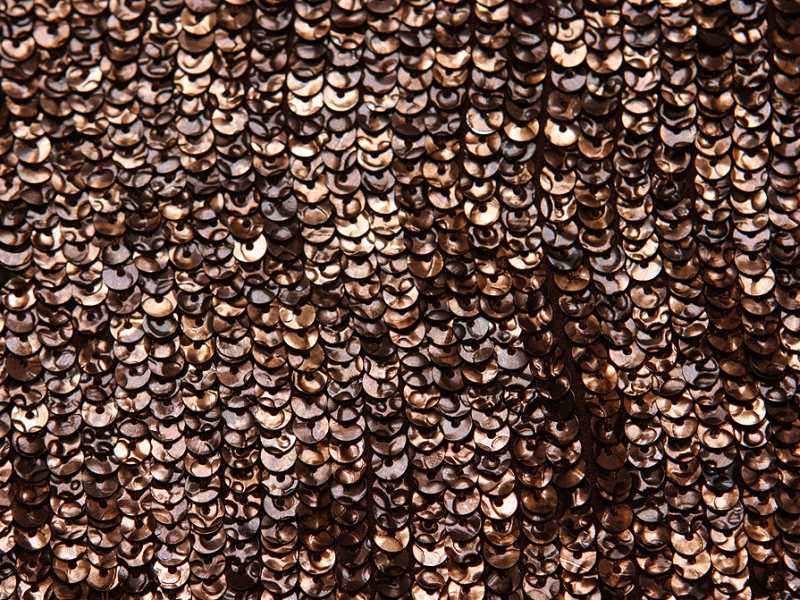 Sequins on Silk Chiffon2