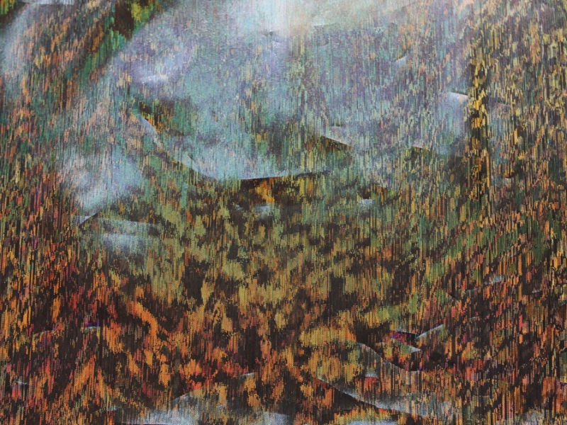 Stretch Hologram Lamé0