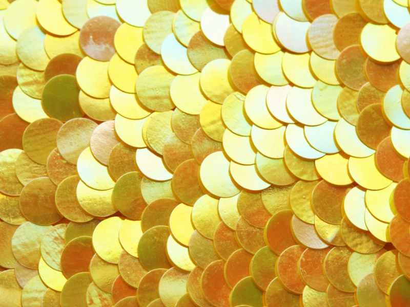 Paillettes on Silk Chiffon3