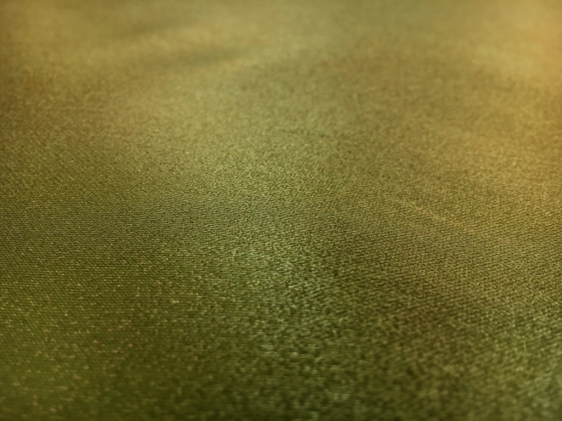 Metallic Polyester and Viscose Blend Satin Face Organza1