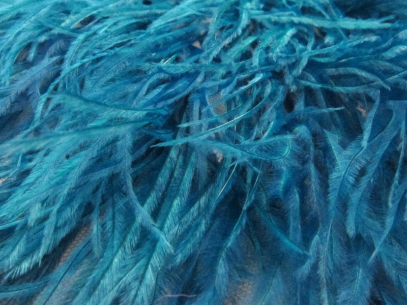 Ostrich Feather Trimmed Illusion1