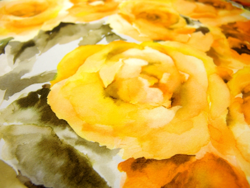 Printed Silk Charmeuse1