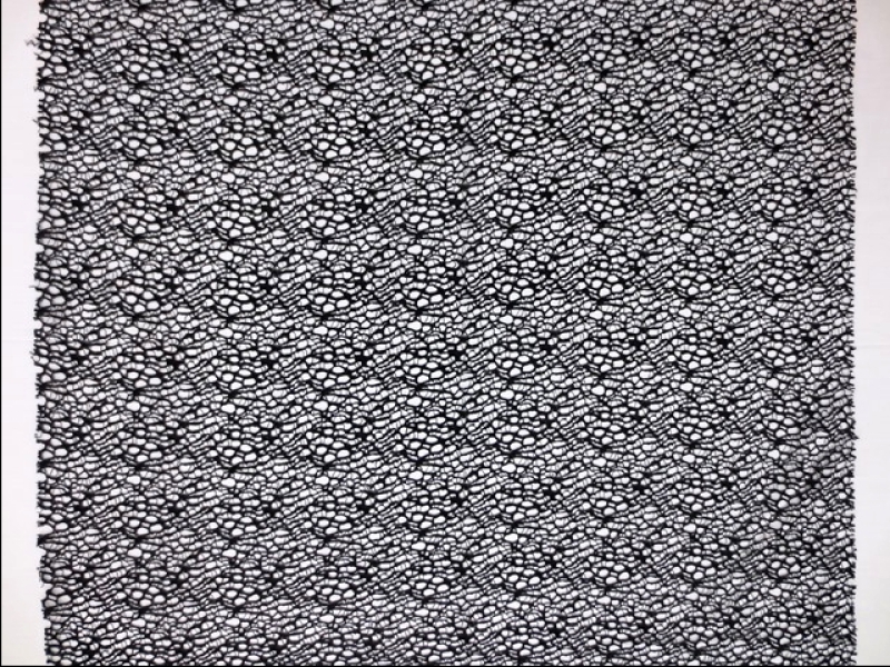 Corded Chantilly Lace3