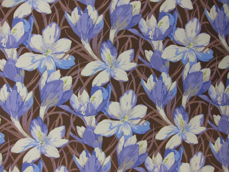 Cotton Broadcloth Print0