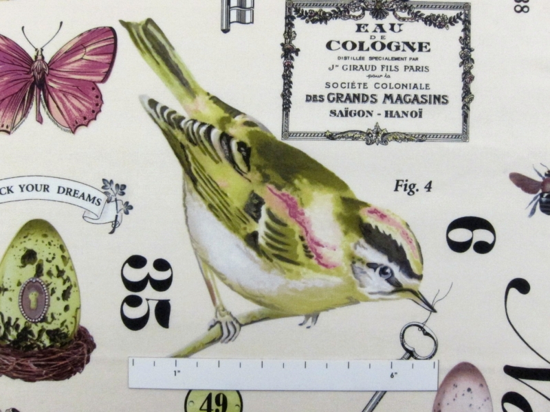 Cotton Broadcloth Print1