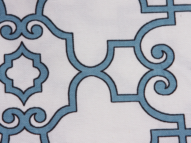 Printed Cotton Canvas2