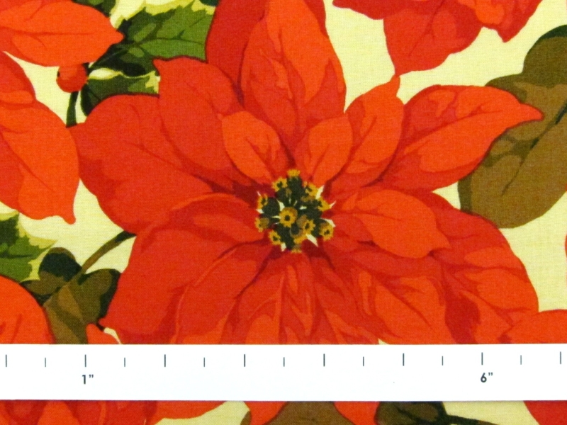 Cotton Broadcloth Print1