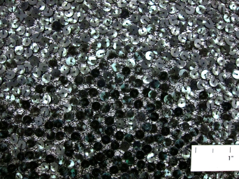 Sequins on Metallic Tulle1