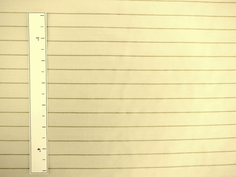 Metallic Pinsripe Silk Dupioni1