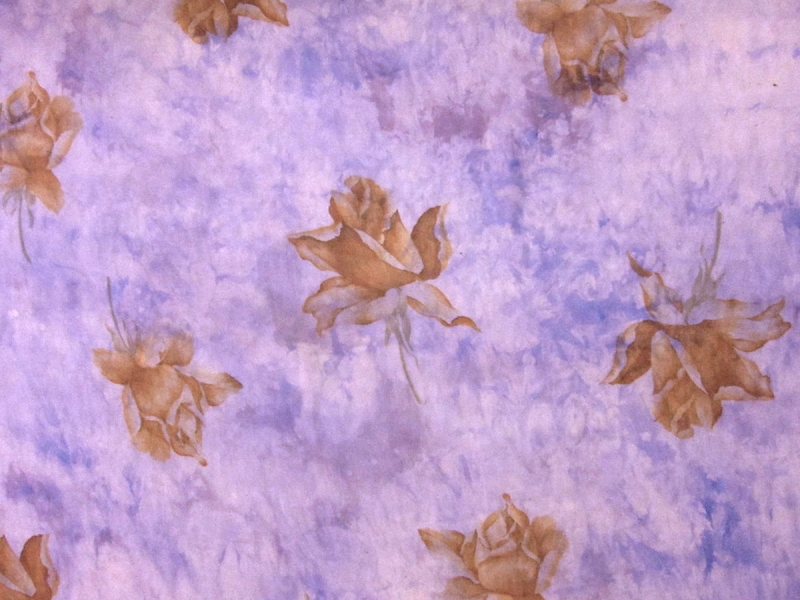 Printed Silk Chiffon0