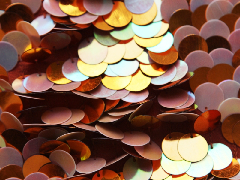 Pailettes on Silk Chiffon3