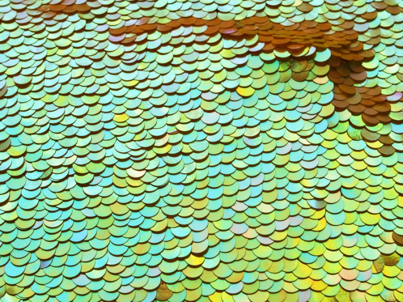 Paillettes on Silk Chiffon1