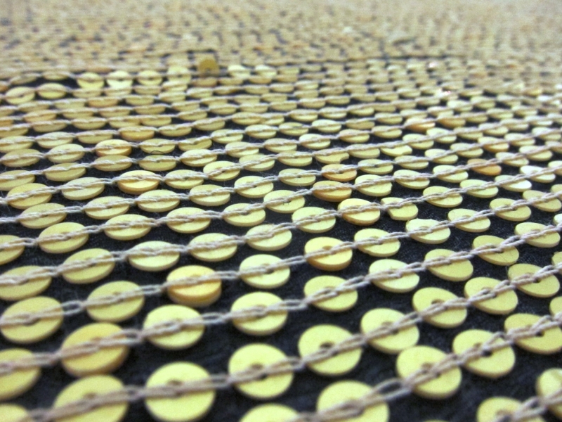 Sequins on Silk Chiffon2