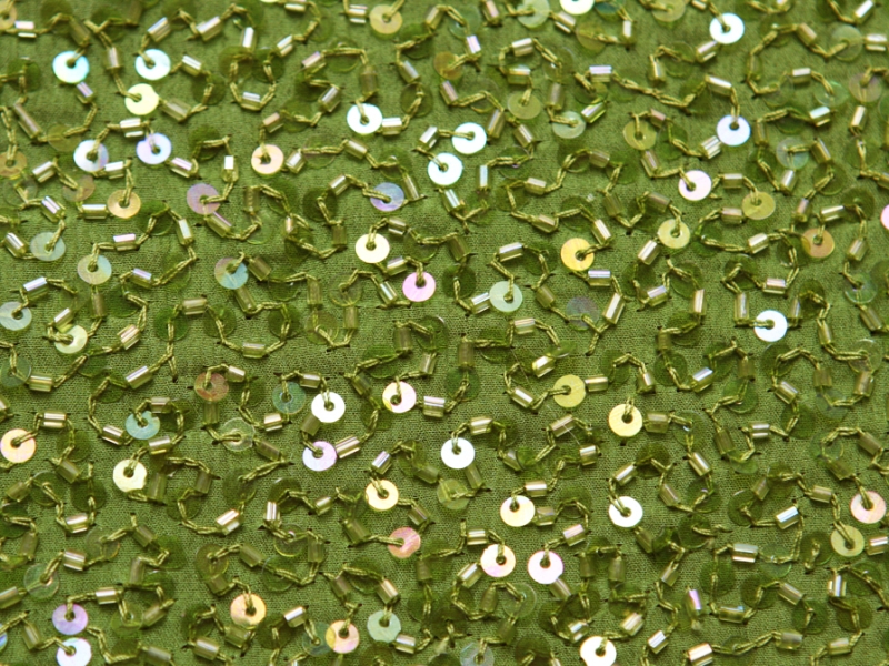 Sequins on Silk Chiffon2