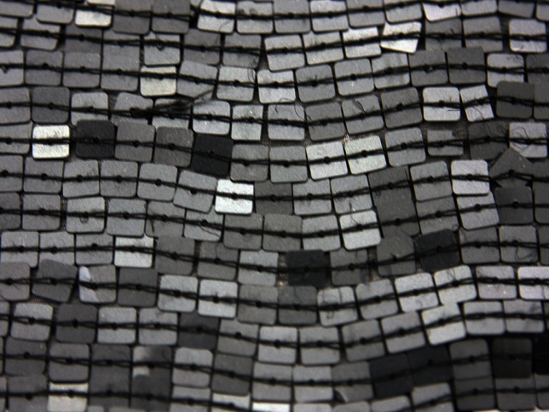 Sequins on Silk Chiffon0