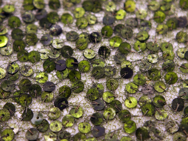 Sequins on Metallic Tulle2