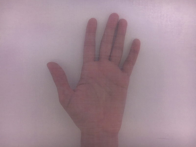 Swiss Cotton Organdy in Lavender1