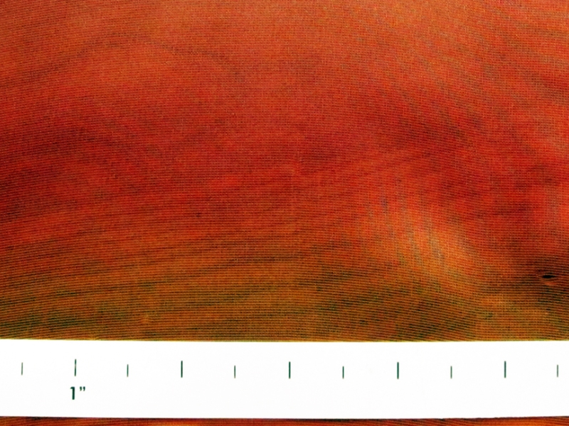 Novelty Blend Organza1