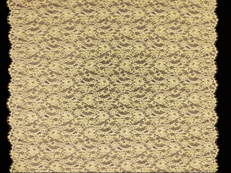 Metallic Chantilly Lace3