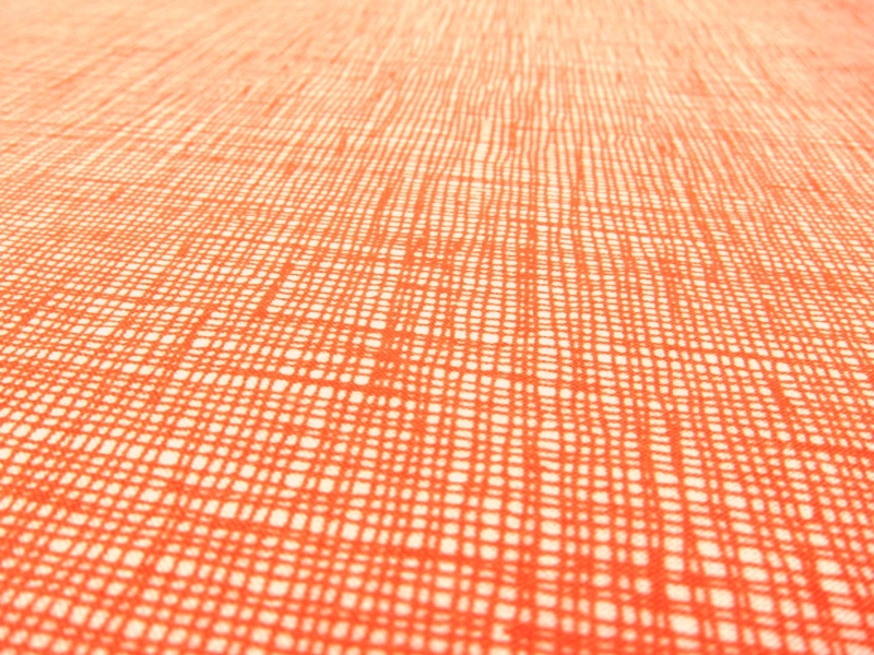 Cotton Broadcloth Print2