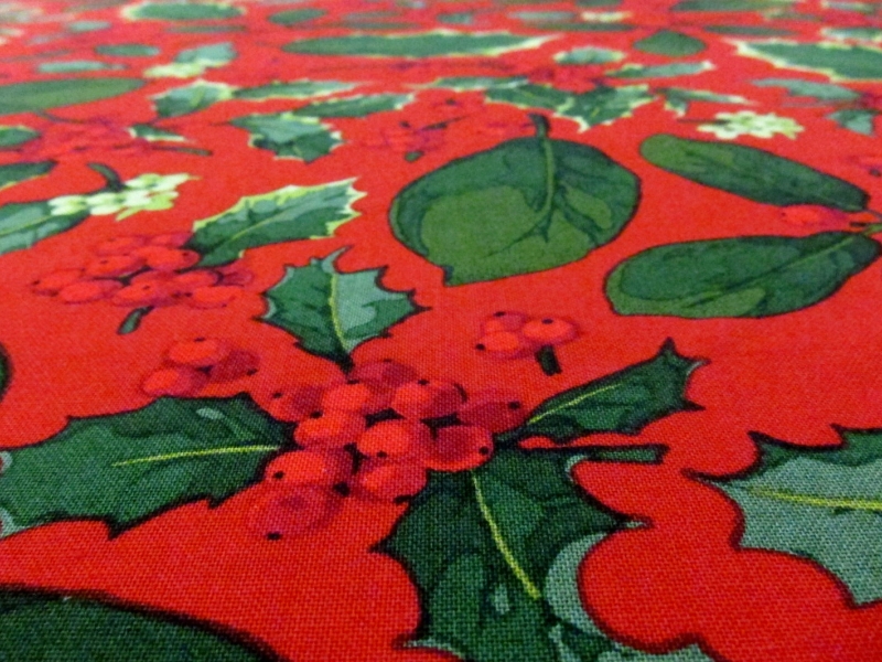 Cotton Broadcloth Print2