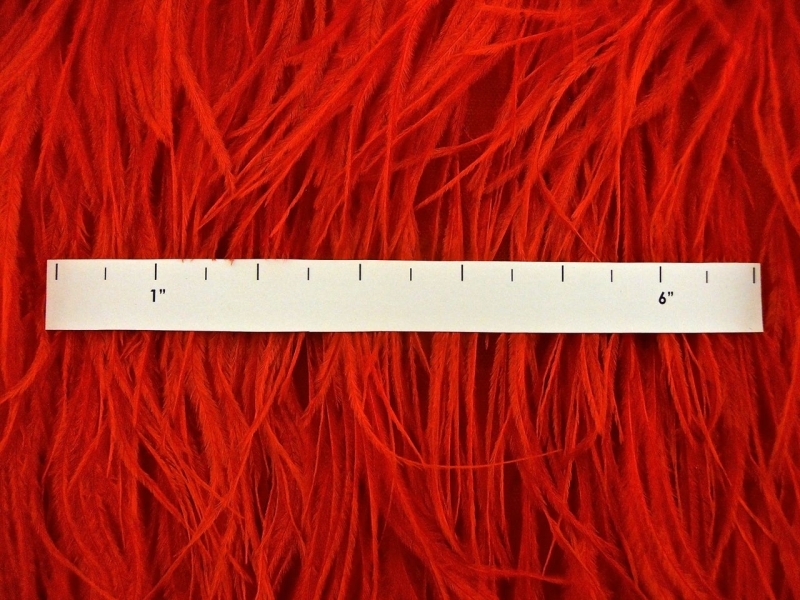 Ostrich Feather Trimmed Illusion1