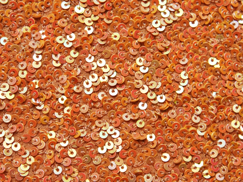 Sequins on Silk Chiffon2