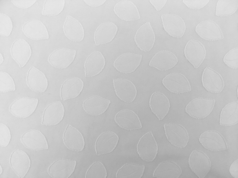 Italian Cotton Voile Fil Coupé with Leaves Motif0