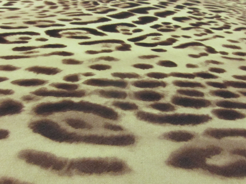 Printed Silk Chiffon2