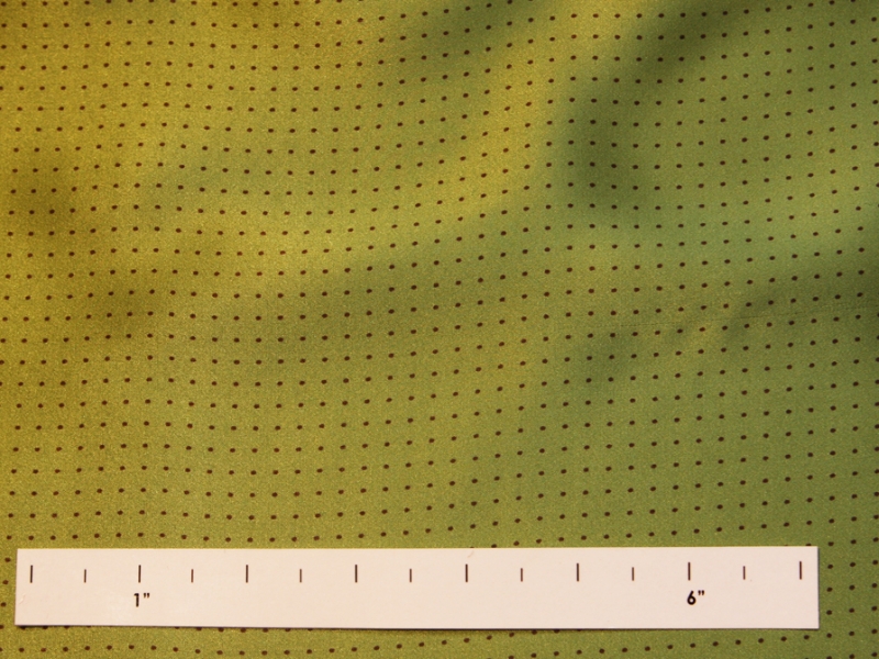 Printed Silk Charmeuse0