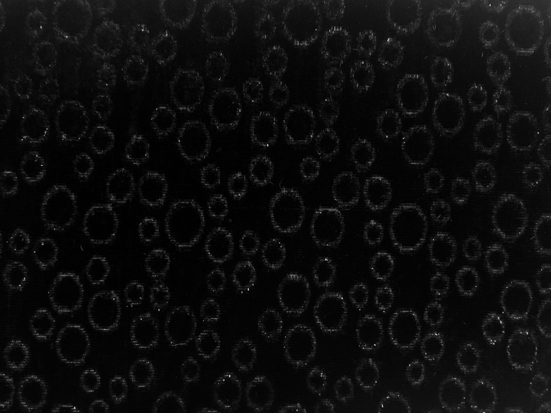 Silk Lurex Panne Velvet with Circles in Black0