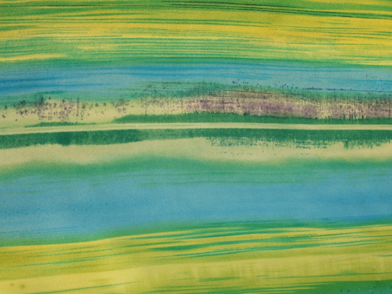 Printed Silk Charmeuse1