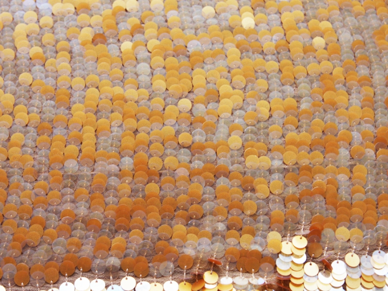 Pailettes on Silk Chiffon0