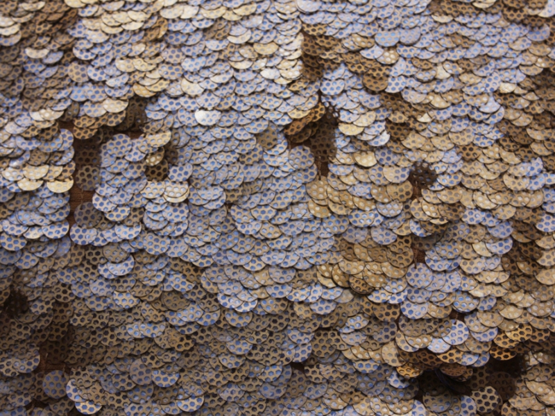 Novelty Paillettes on Silk Chiffon1