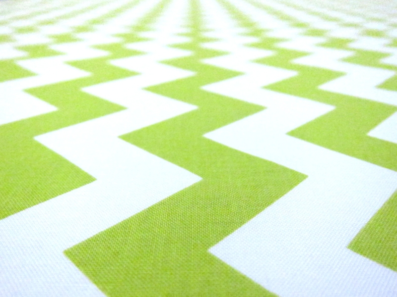 Cotton Broadcloth Print2