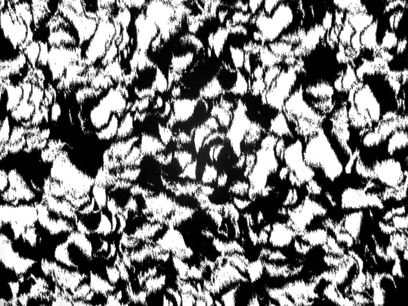 Liquid Look Printed Twill0