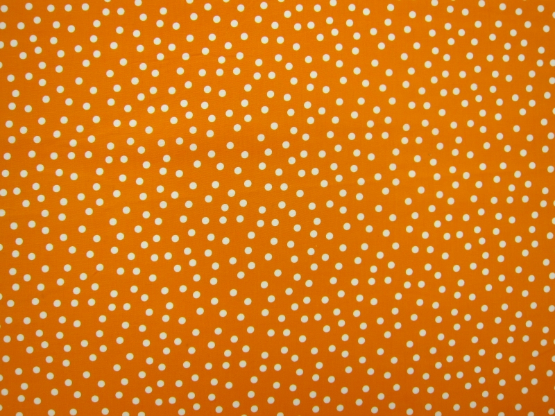 Cotton Broadcloth Print0