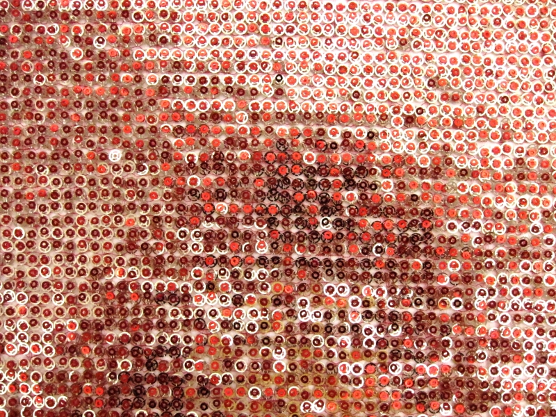 Layered Sequins on Novelty Mesh0