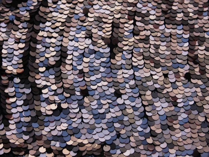 Paillettes on Silk Chiffon1