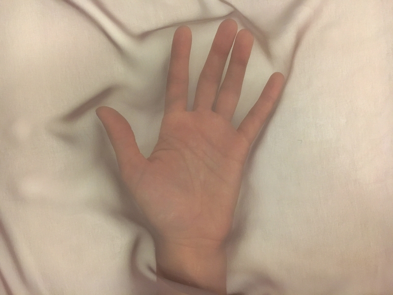 Japanese Polyester Chiffon in Chocolate Brown2