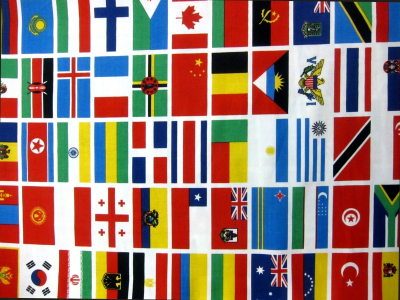 Cotton Broadcloth Print 0