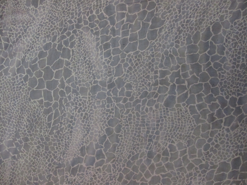 Iridescent Silk Chiffon Print1