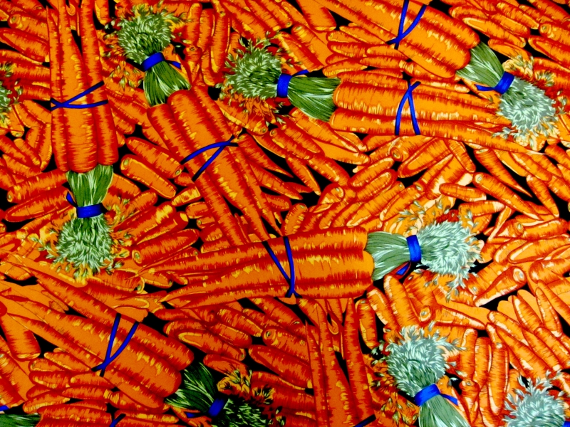 REDUCED Printed Silk Crepe de Chine with Carrots0