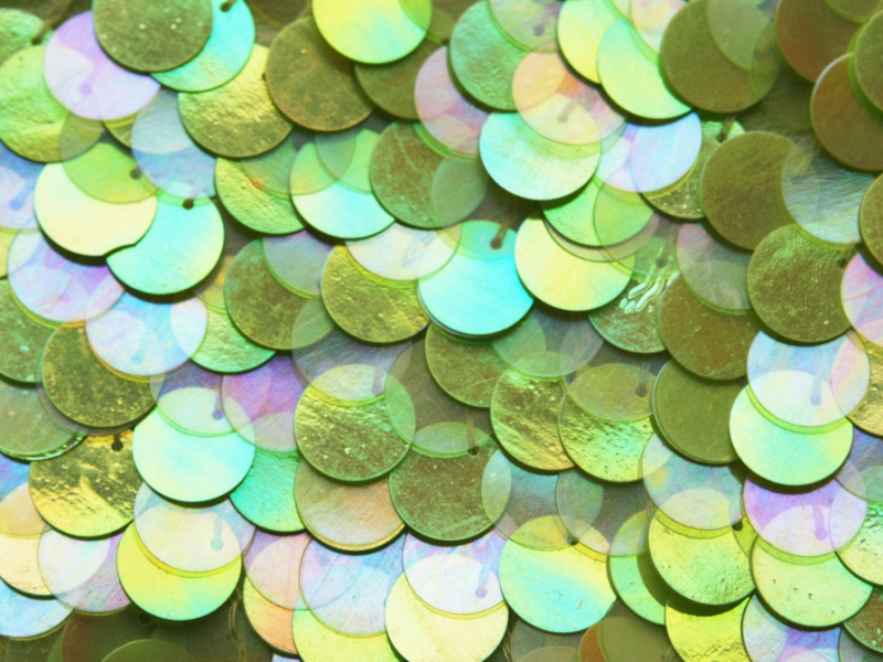 Paillettes on Silk Chiffon0