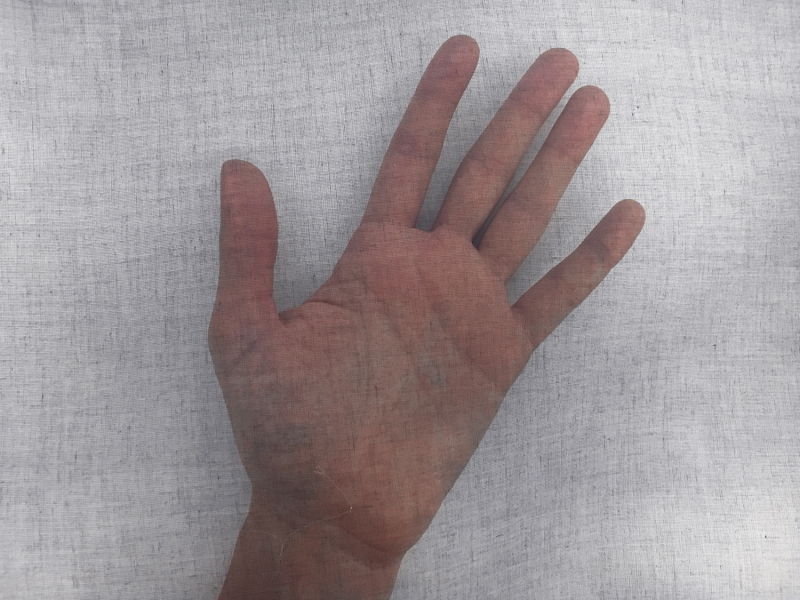 Swiss Cotton Organdy in Navy1