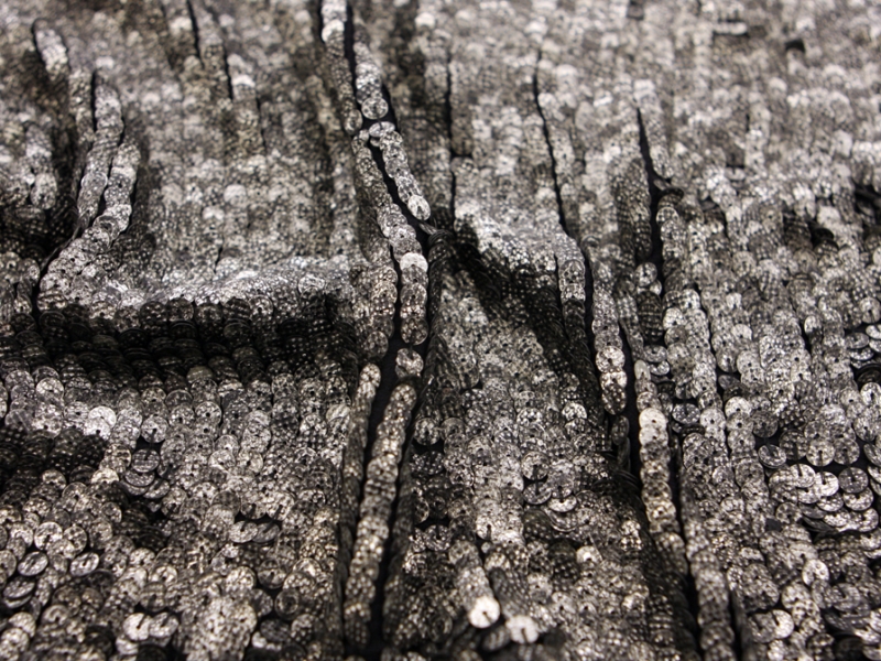 Novelty Sequins on Silk Chiffon3