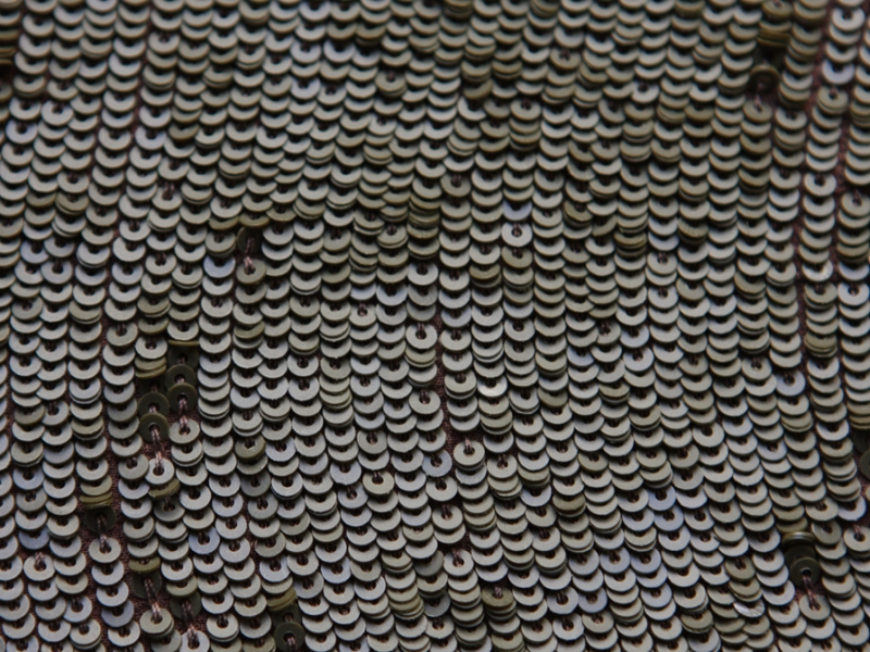 Sequins on Silk Chiffon3