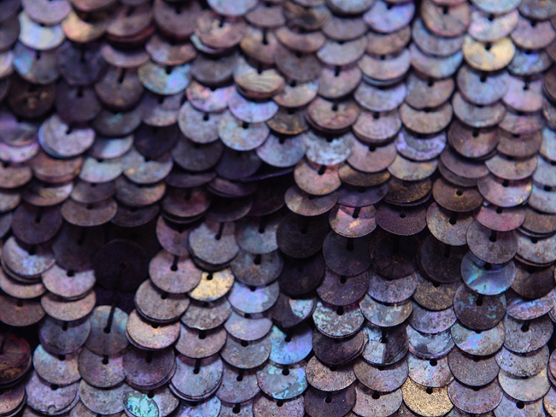 Sequins on Silk Chiffon3