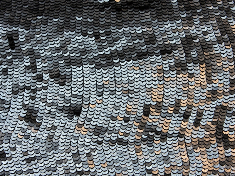 Sequins on Silk Chiffon1