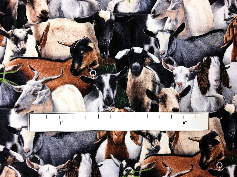 Cotton Broadcloth Print 1
